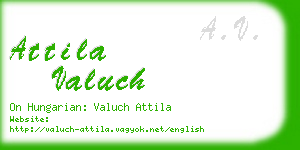 attila valuch business card